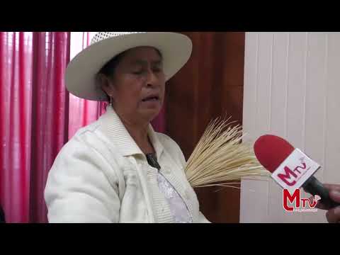 SOMBREOS PAJA TOQUILLA