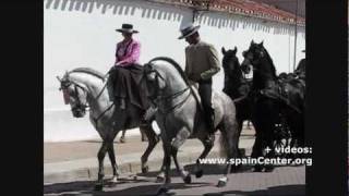 preview picture of video 'Caballos en Cuerda de Feria Albacete 2011'