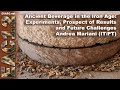 Ancient Beverage In The Iron Age Experiments Prospect Of Results And Future Challenges