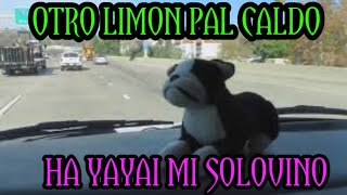 MUSICA DEL SOLOVINO// LA TACOMA CON EFECTOS VISUALES