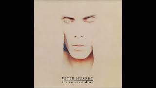 Peter Murphy - The Sweetest Drop
