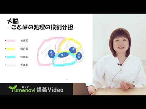 【言語聴覚学科】吉村貴子先生／脳とコミュニケーション障害を考える言語聴覚士（夢ナビ講義Video）
