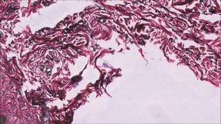 Ghostpoet - Sorry My Love, It's You Not Me (Ghost Culture Remix)