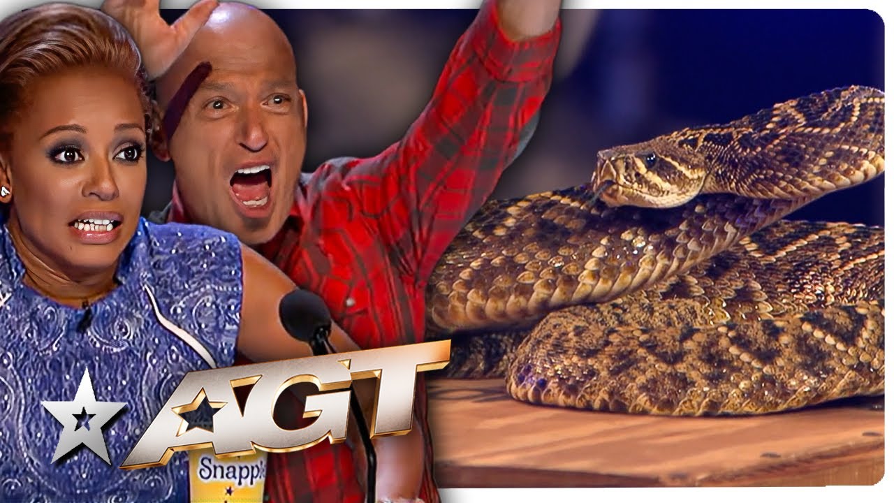 SHOCKING Snake Audition TERRIFIES The Judges on America's Got Talent!