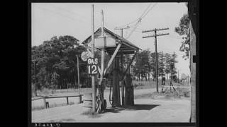 American Folk Music (Southern): Dying Cowboy, The