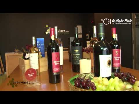 Everwines Chile Everwines Chile