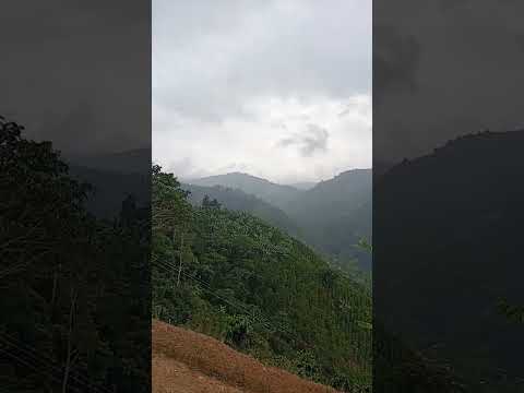 panorama palestina Huila Colombia 🇨🇴