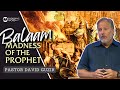 Balaam: The Madness of the Prophet – Numbers 22-25