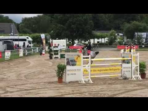 SA Stables " Vioguete " 7j Diamant De Semilly/Verdi 140m Youngster Tour Langenfeld