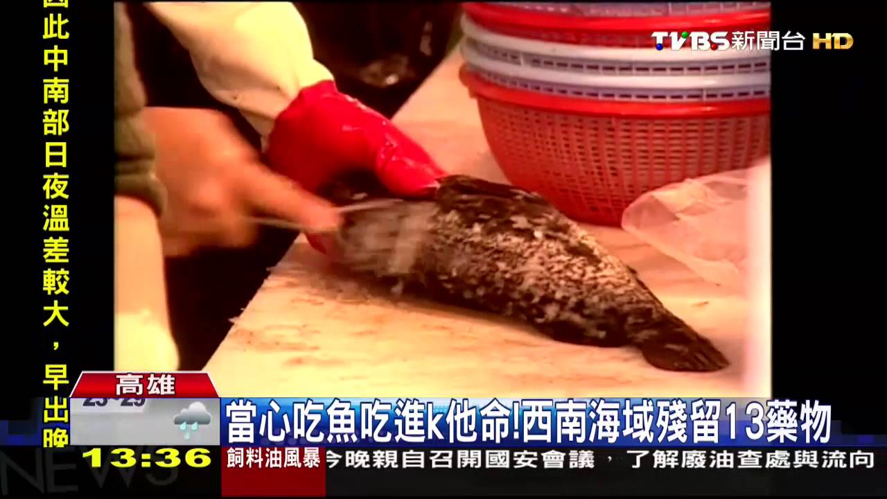 當心吃魚吃進K他命！　西南海域殘留13藥物