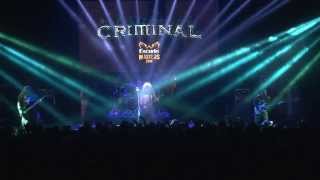 CRIMINAL - Collide (LIVE Teatro Caupolican)