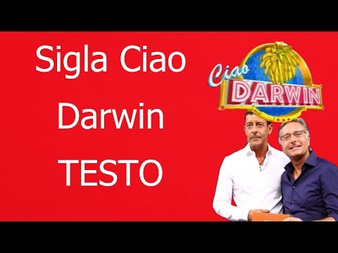 Sigla Ciao Darwin (Siete tutti matti) - Testo in italiano