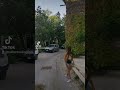 Living In A Small Italian Town Italy