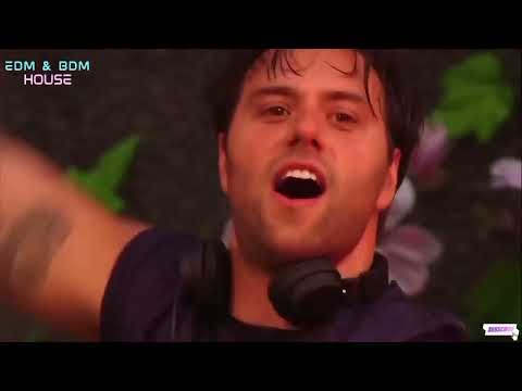 Sebastian Ingrosso & Alesso ft. Ryan Tedder - Calling (Lose My Mind) Live at Tomorrowland 2013