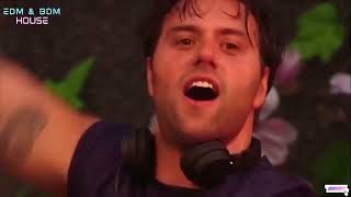 Sebastian Ingrosso &amp; Alesso ft. Ryan Tedder - Calling (Lose My Mind) Live at Tomorrowland 2013