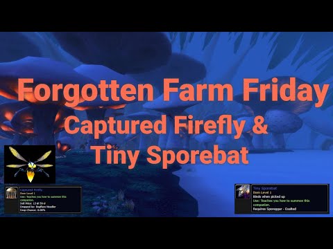 Forgotten Farm Friday: Captured Firefly and Tiny Sporebat