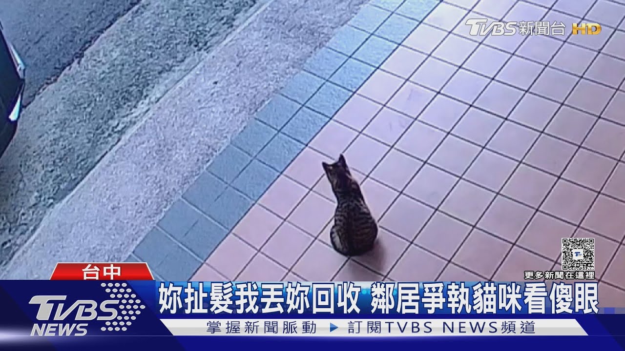 扯髮丟垃圾!台中鄰居水聲糾紛爆衝突 連貓都看傻眼了