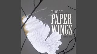 Paper Wings