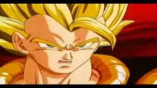 accion y reaccion - porta