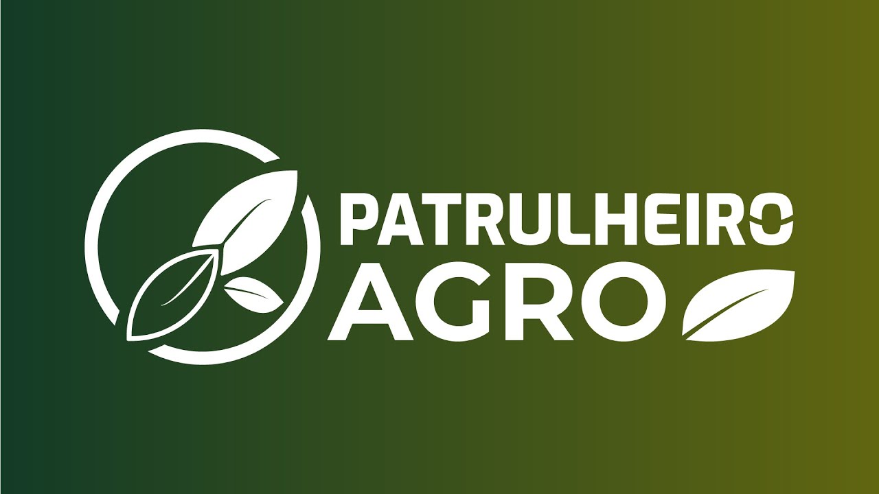 Clima desfavorável prejudica desempenho do algodão no oeste de MT | Patrulheiro Agro, ep. 39