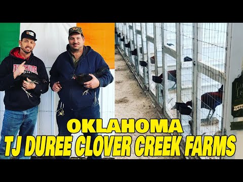 OKLAHOMA !! Beautiful Black Birds Clover Creek Farms TJ DUREE | Farm Visit