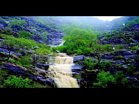 السروات Novyj Trend Smotret Onlajn Na Sajte Trendovi Ru