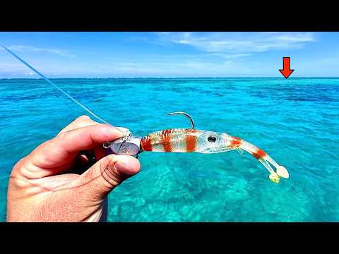 Fishing Australia's FAMOUS Great Barrier Reef for the Most EXOTIC Fish in the World!