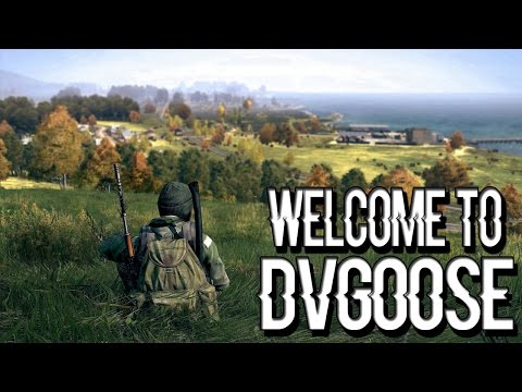 Welcome To DV Goose!