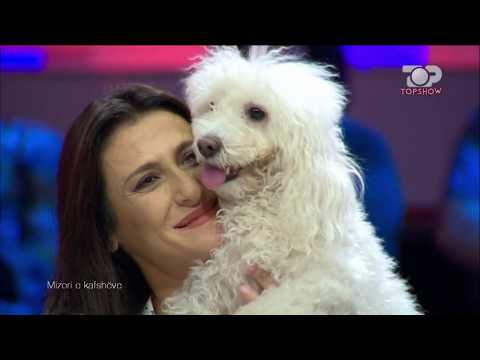 Top Show, 4 Tetor 2017, Pjesa 1 - Top Channel Albania - Talk Show