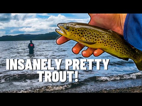 TROUT FISHING on a Scottish Highland Loch! 🏴󠁧󠁢󠁳󠁣󠁴󠁿 🎣 (4K)