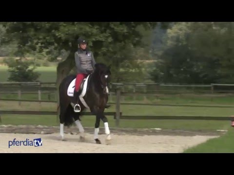 Seitwärtstreibende Hilfen & einfache Galoppwechsel | Königssee | Ingrid Klimke