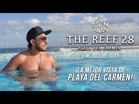 Videos del The Reef 28 5★ en Playa del Carmen, MéxicoVer MásVerPrecios19CerrarConsulta por Whatsapp 🇦🇷BookingTripadvisorExpediaAgodaTravelocityOrbitzPricelineTripSkyscannerDespegarKayakHotelesBestdayDestiniaTrivagoLastminuteHotwireCheapticketsTui
