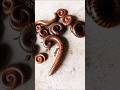 Kida Makoda Snake Video Trend Viralvideo Millipede 4k Video Snailhunter