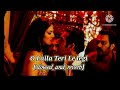 O Laila Teri Le Legi Slower And Reverb