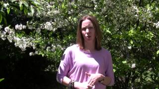 Rivers to Oceans: Terri-Lee Reid, CWF Conservation Researcher