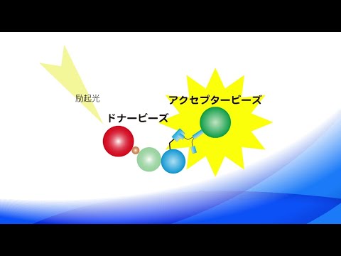 無細胞系を利用したタンパク質間相互作用解析