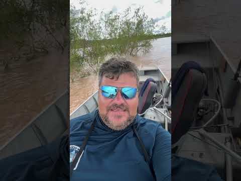 Rio Araguaia Aruanã Goiás #pescaria #fishing #rioaraguaia #shorts #youtubeshorts