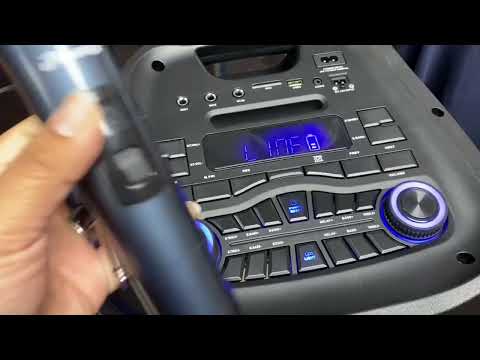 IP-12/IP-11 wireless microphones iphoenix brand