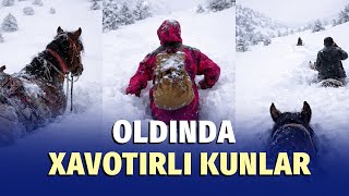 Barakali, ammo xavfli mavsum bo'ladi