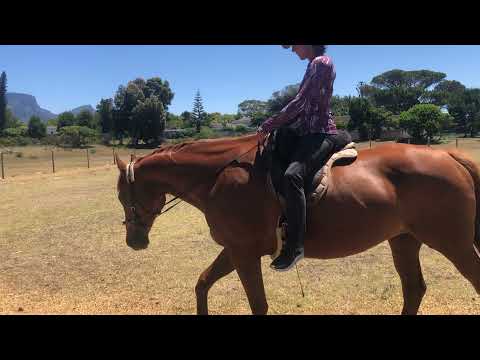 Gisela & Corday R1 Dec 2021