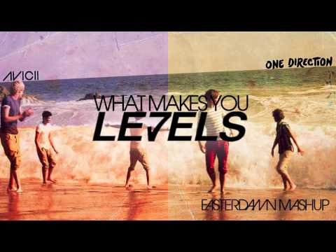 Avicii Vs. One Direction - What Makes You Levels (Easterdamn Mashup)
