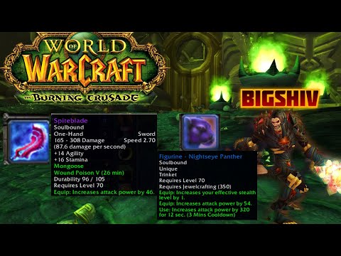 TBC Anniversary- Best Rogue PvP Gear And Talents Phase 1!