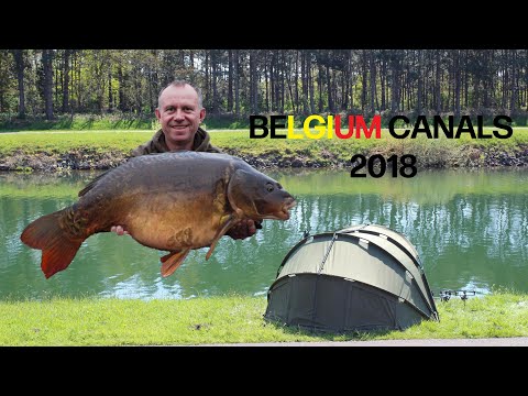 download lagu mp3 mp4 Carp Fishing Belgium Canals, download lagu Carp Fishing Belgium Canals gratis, unduh video klip Carp Fishing Belgium Canals