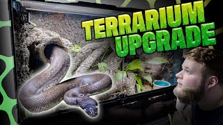 UPGRADING MY RARE PYTHON INTO A BIOACTIVE TERRARIUM!!