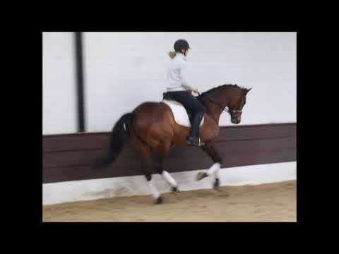 LITTLE L' ESPOIR7j. v. L'Espoir - Pinter's Row xx VB 12.000,- Euro