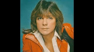 ⭐ David Cassidy... at The Russell Harty Show 1976 ⭐