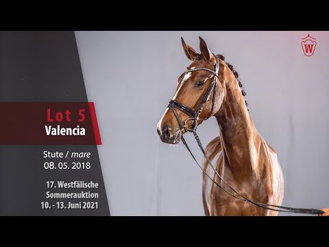 Westfälische Sommer-Auktion Lot 5 Valencia Stute v. Valverde - San Romantiko