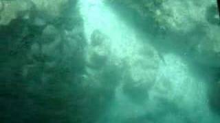 preview picture of video '[2005-11-20] Tobago coral reef 1'