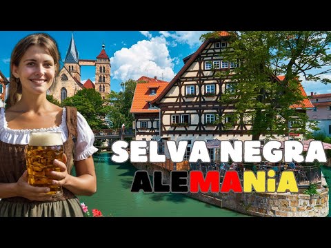 Visiting the BLACK FOREST: The Authentic and Mysterious Germany 😍