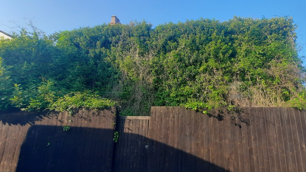 Discovering A Hidden Abandoned Millatry House Filled With Vintage Porn Abandoned Places